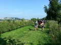2013-07-18 10_44 001